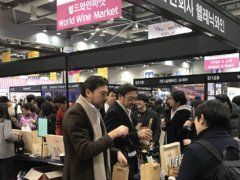 会展哥的头像