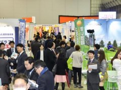2020日本东京特许经营展览会