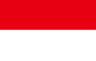 印度尼西亚签证办理