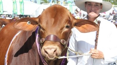 2021澳大利亚牛肉产业及肉类加工展览会举办时间Beef Australia(www.828i.com)