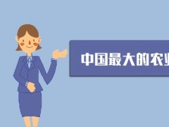 中国会展网编的头像