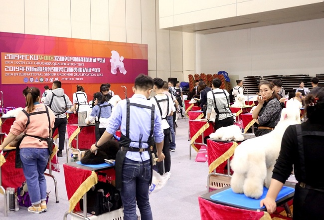 2020郑州宠物用品展览会将于10月在郑州国际会展中心举行(www.828i.com)