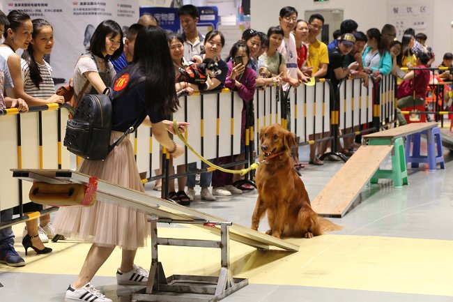 2020广西宠物博览会将于11月6日举办 展位即将售罄(www.828i.com)