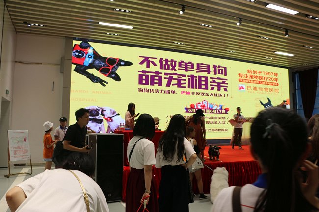 2020广西宠物博览会将于11月6日举办 展位即将售罄(www.828i.com)