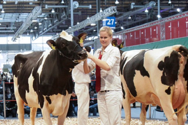 2021德国汉诺威畜牧业展览会EUROTIER(www.828i.com)
