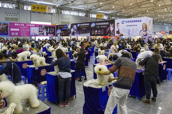 2022武汉国际宠物博览会CPF（武汉宠物展）(www.828i.com)