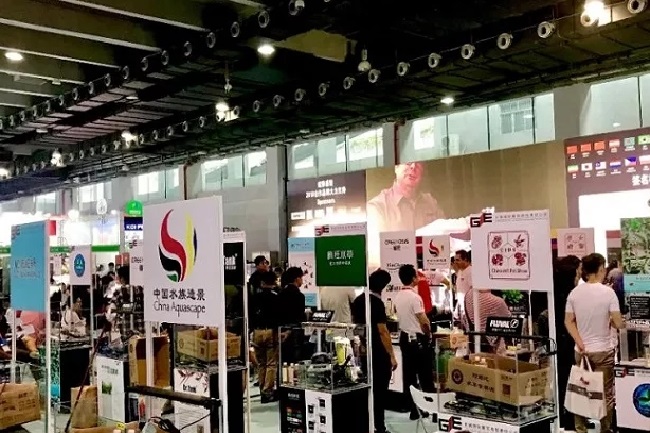 全国宠物展会