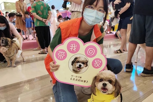重庆国际宠物展览会CPAE(www.828i.com)