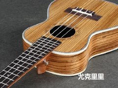 十大最简单的自学乐器（
