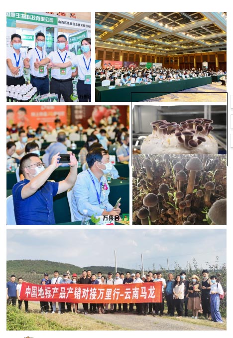 2022中国食用菌产业博览会 中国食用菌协会(www.828i.com)