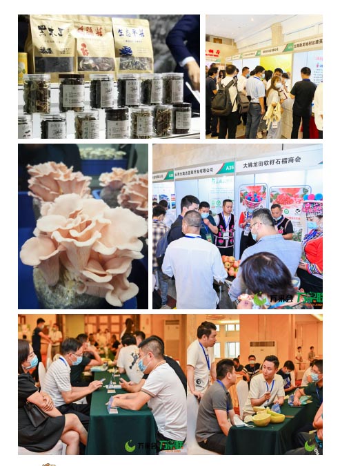 2022中国食用菌产业博览会 中国食用菌协会(www.828i.com)