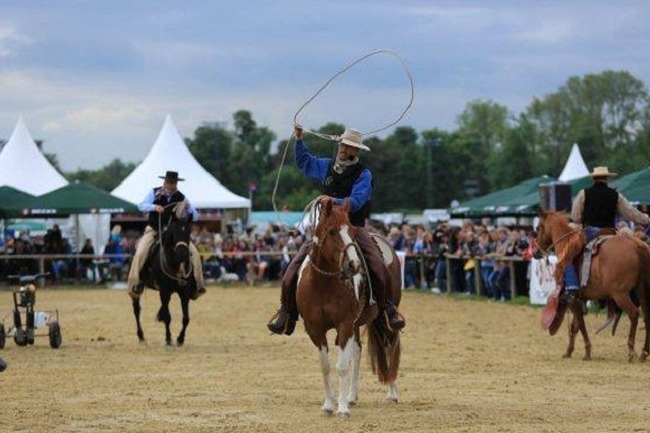 德国科隆马术展览会spoga horse(www.828i.com)