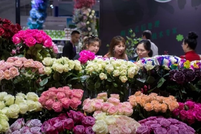 2022中国昆明国际花卉展览会将于9月23日举行(www.828i.com)