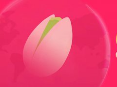 2023第十七届中国粽子文化节暨节令食品展览会