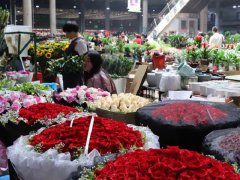 2023广州花卉展将于5月10日举行