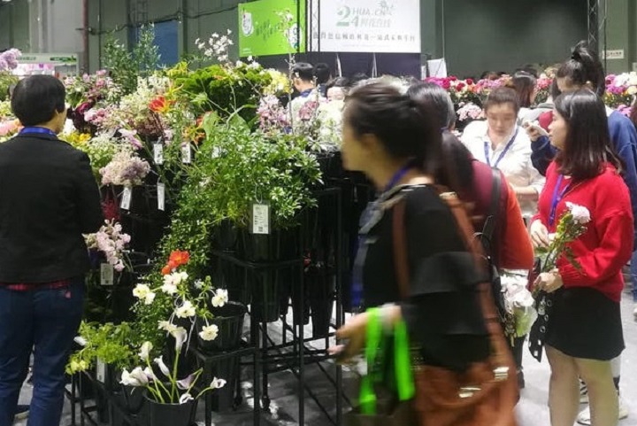 2023广州花卉展将于5月10日举行(www.828i.com)
