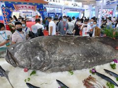 2023福州渔业展（福州渔博会）将于6月举行