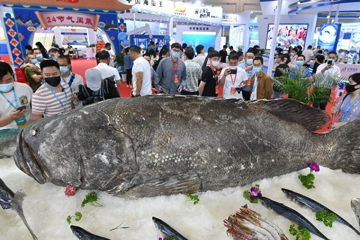 2023福州渔业展（福州渔博会）将于6月举行(www.828i.com)
