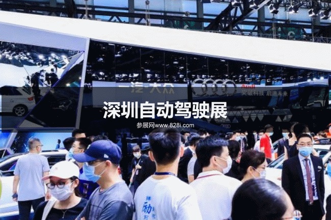 大湾区智能车展