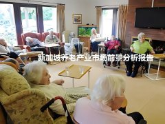 新加坡养老产业市场前景分析报告：康复器械和老年护理